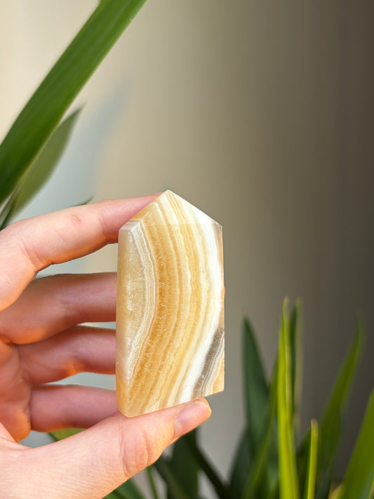 Zebra Calcite