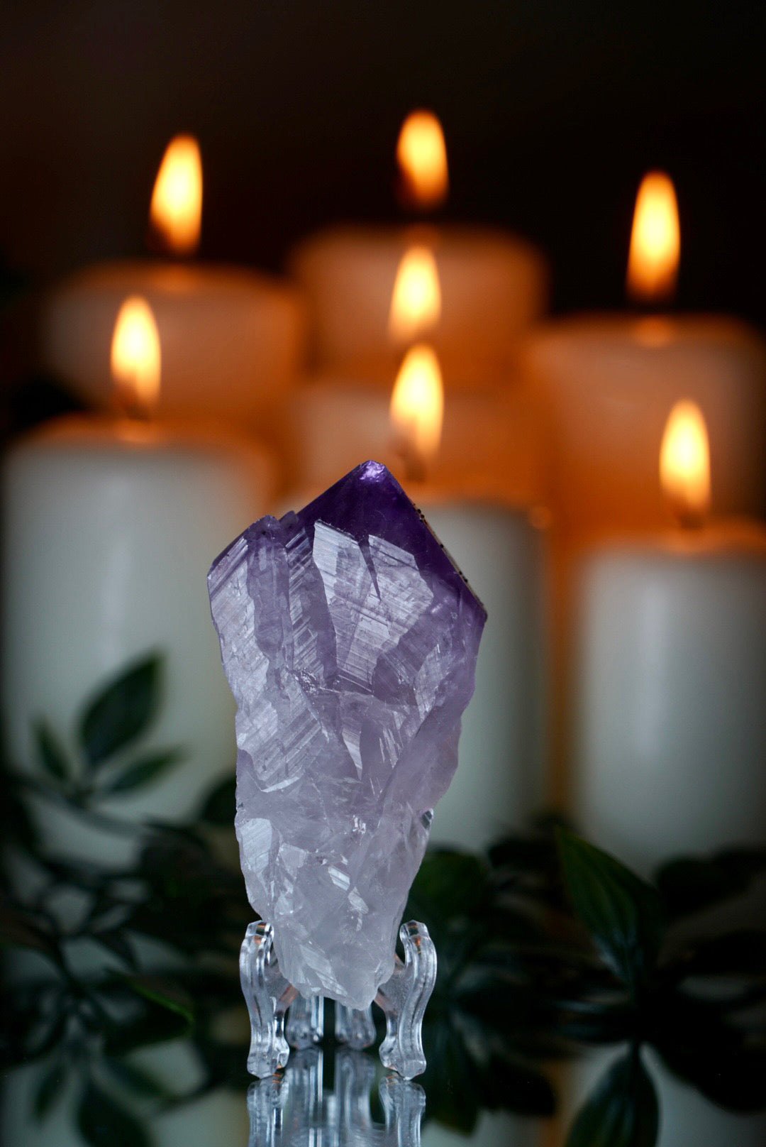 Amethyst Root on Stand