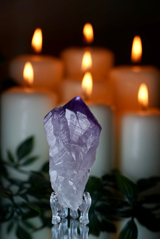 Amethyst Root on Stand