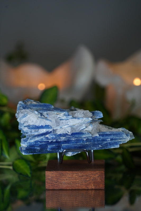 Blue Kyanite in Quartz with stand