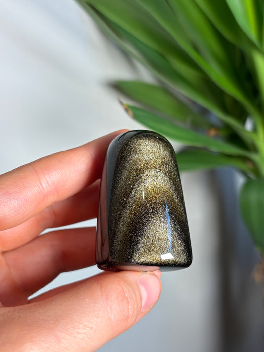 Golden Sheen Obsidian