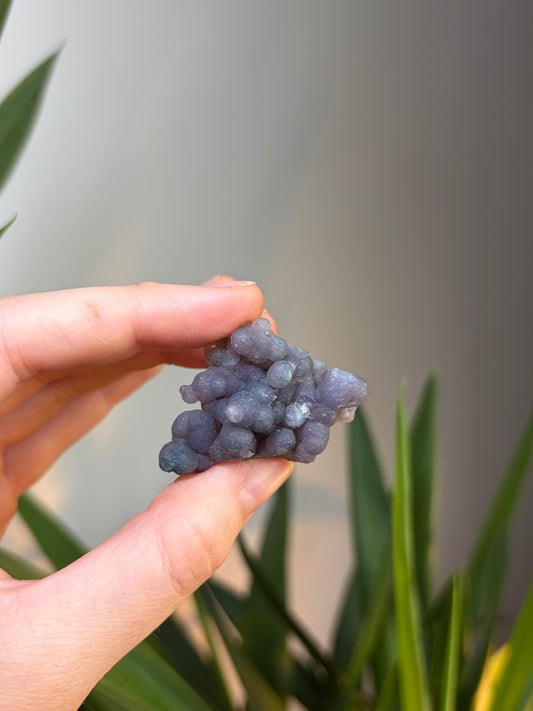 Grape Agate Cluster