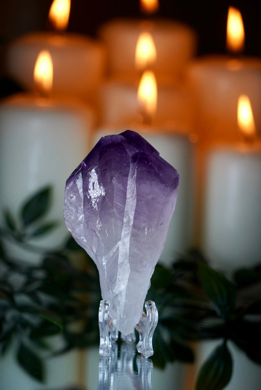 Amethyst Root on Stand