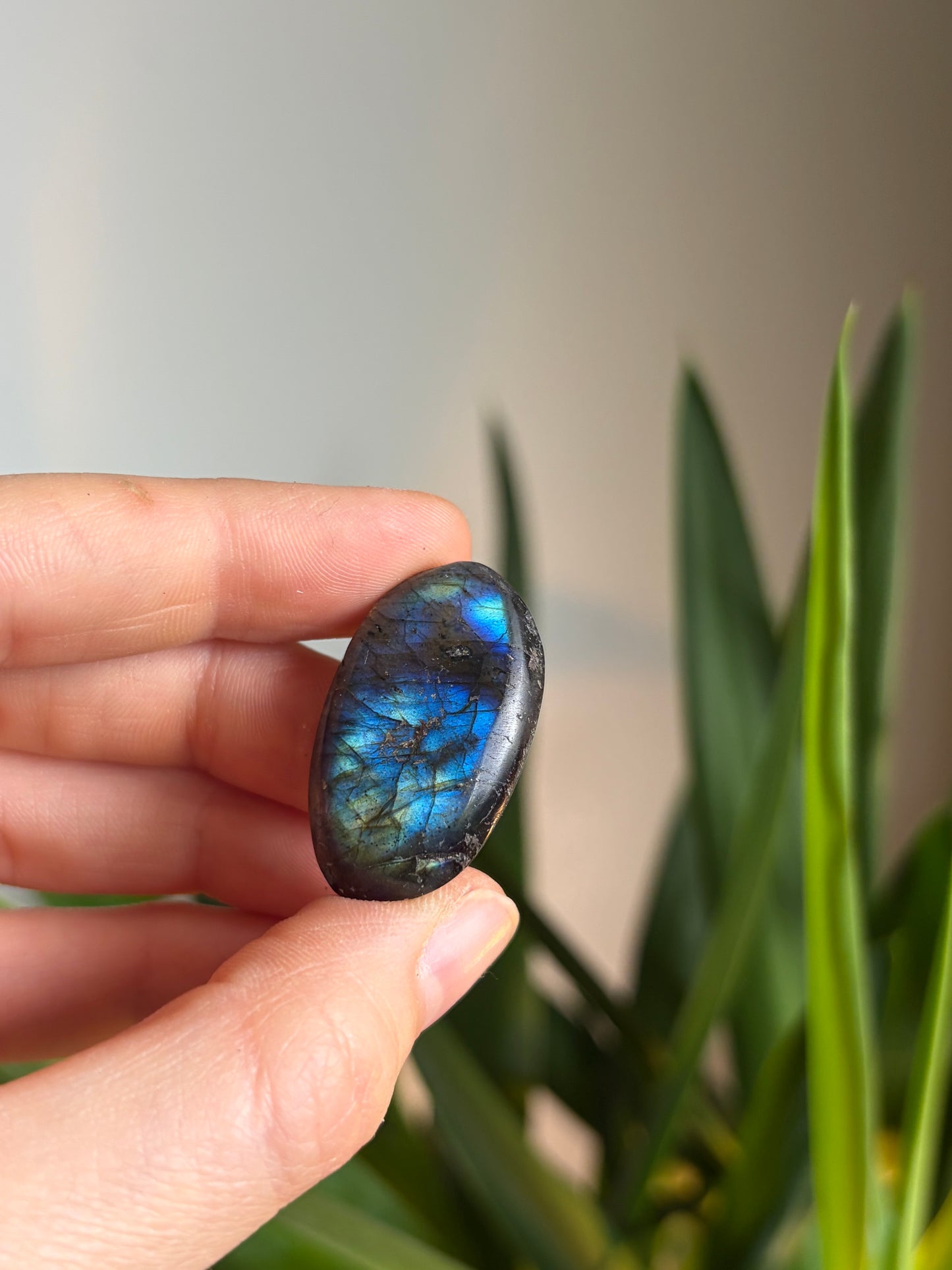 Labradorite Galet