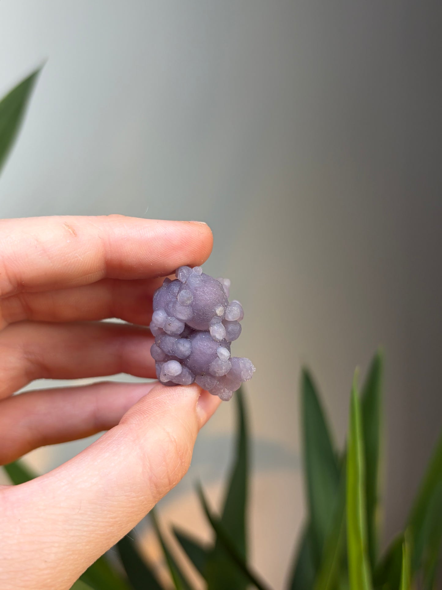 Grape Agate Cluster