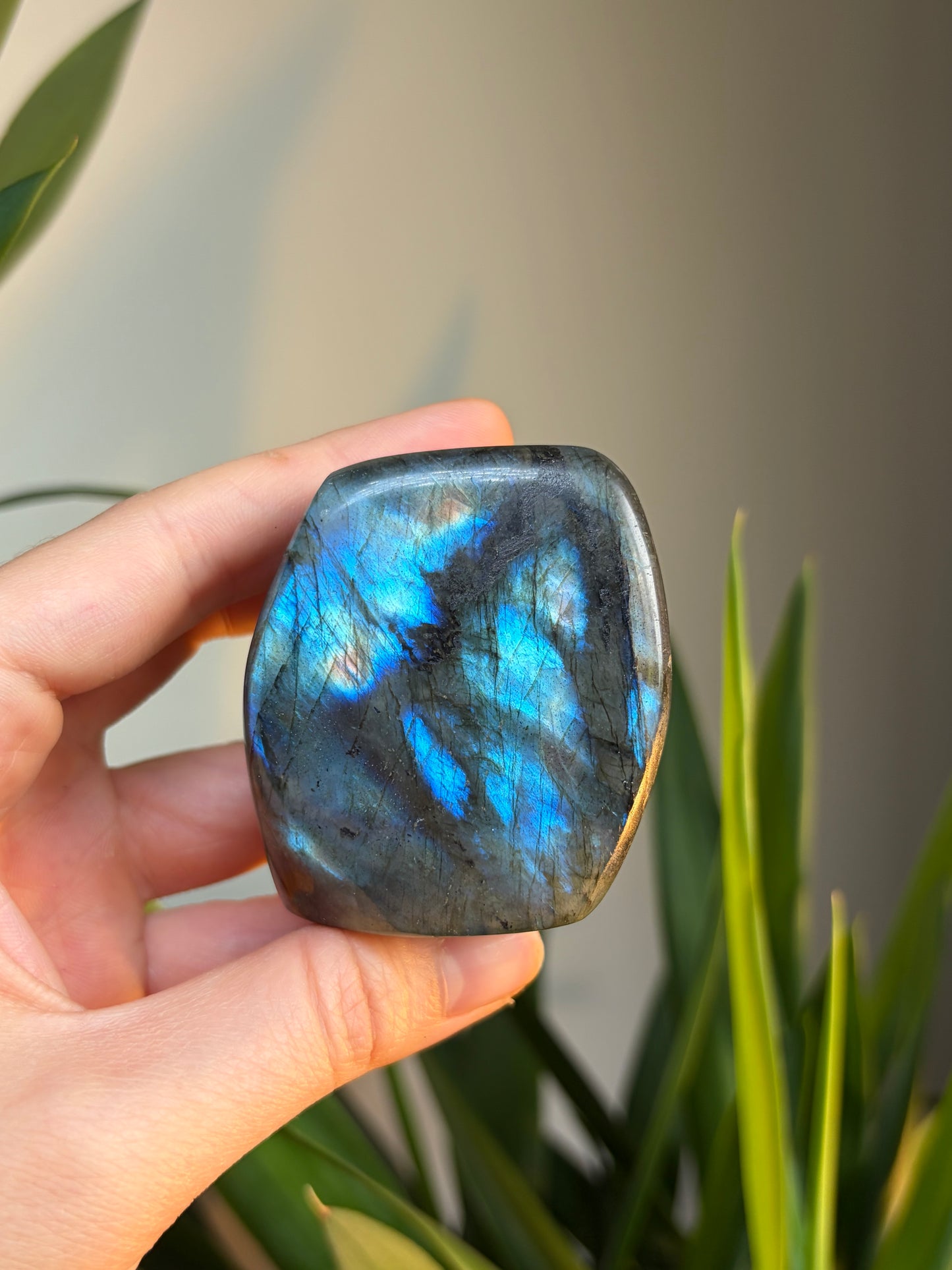 A Grade Labradorite Freeform