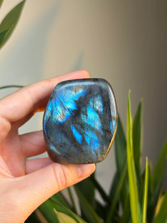 A Grade Labradorite Freeform