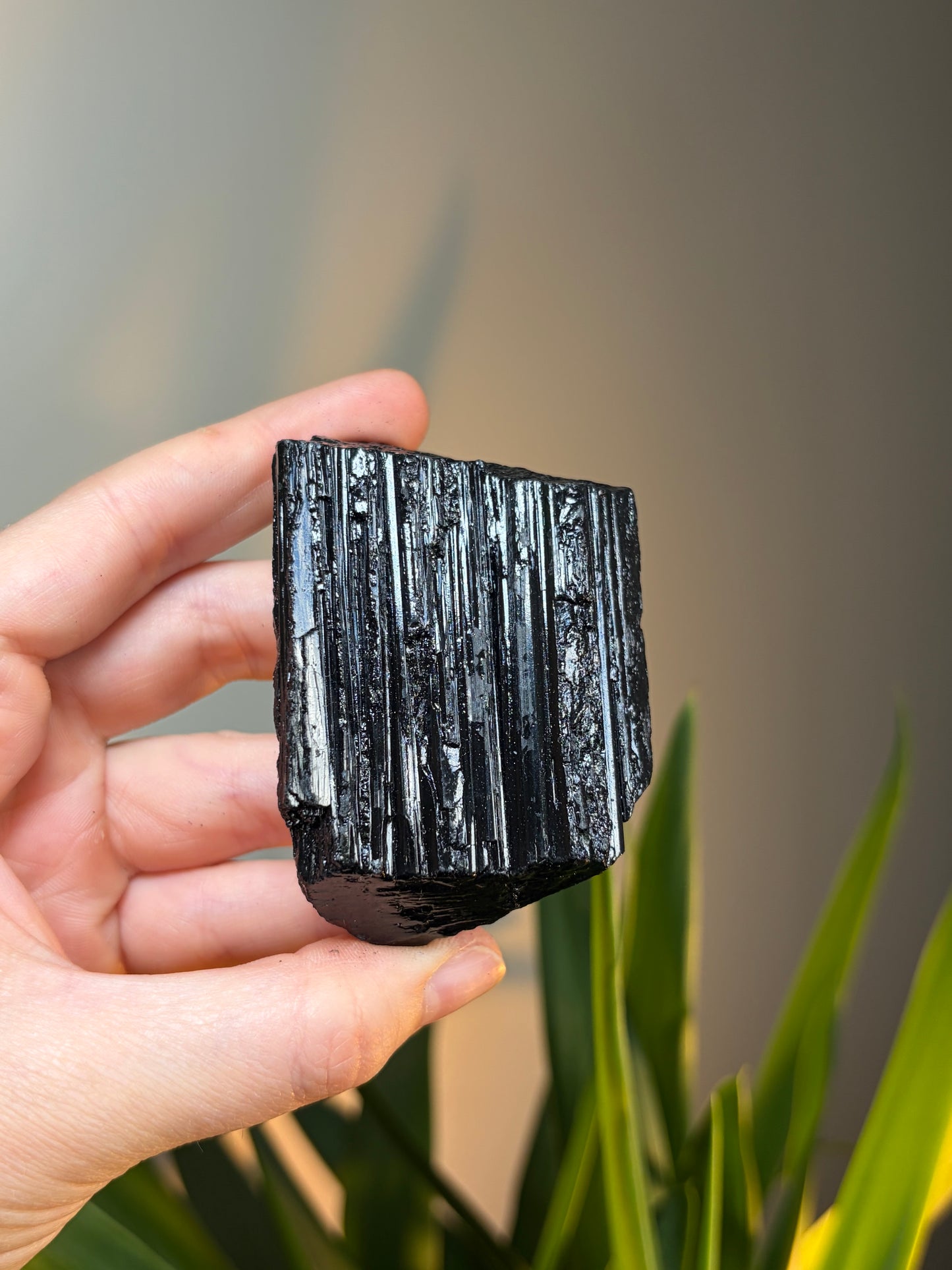 Black Tourmaline Raw Chunk With Stand