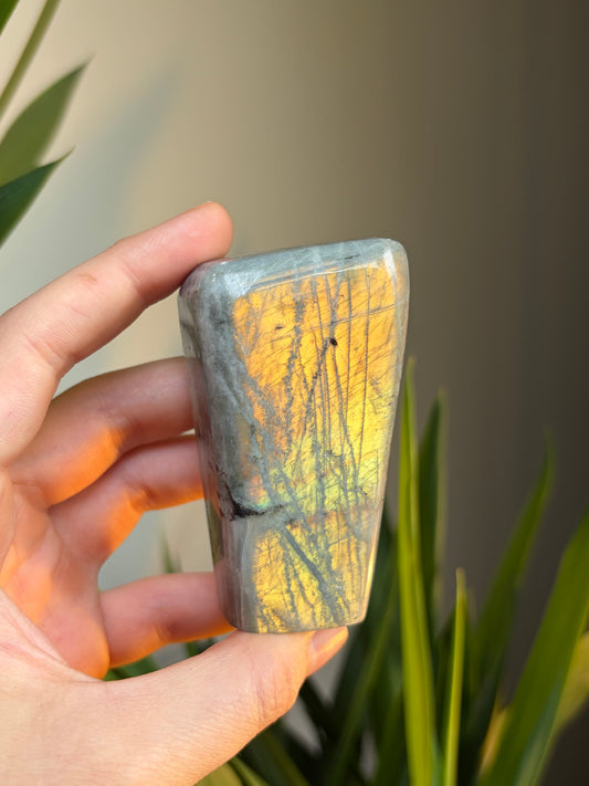 A Grade Labradorite Freeform