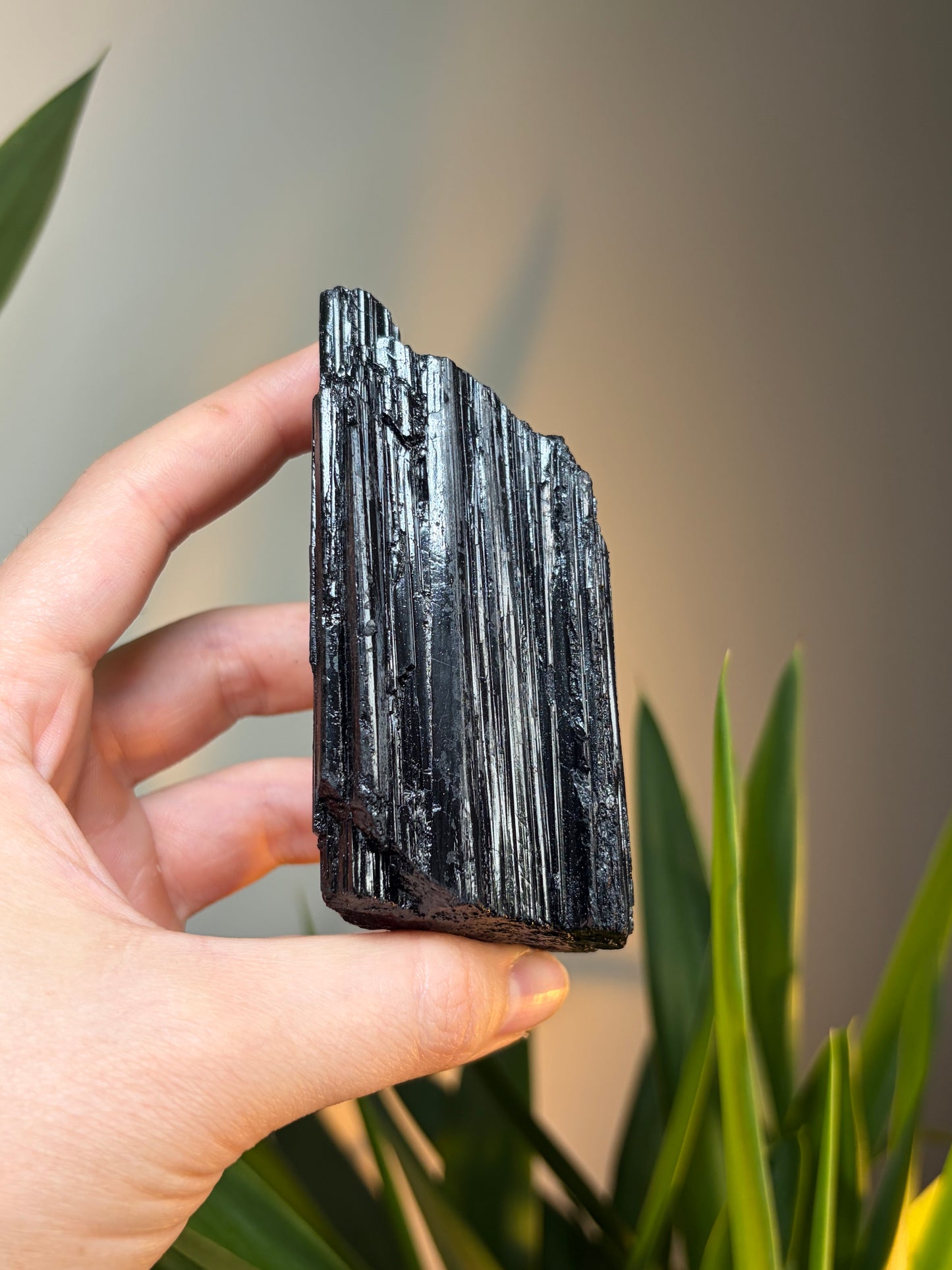 Black Tourmaline Raw Chunk With Stand