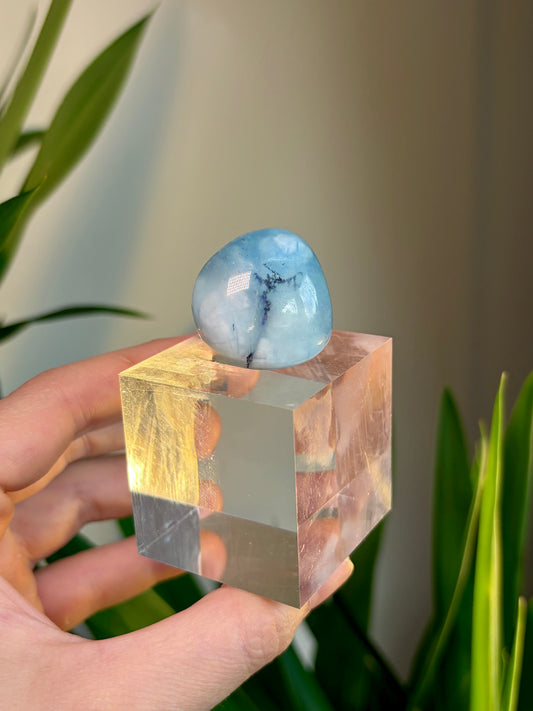 Aquamarine Tumble with Dendritic Inclusion with Cube Stand