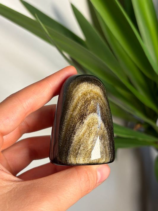 Golden Sheen Obsidian