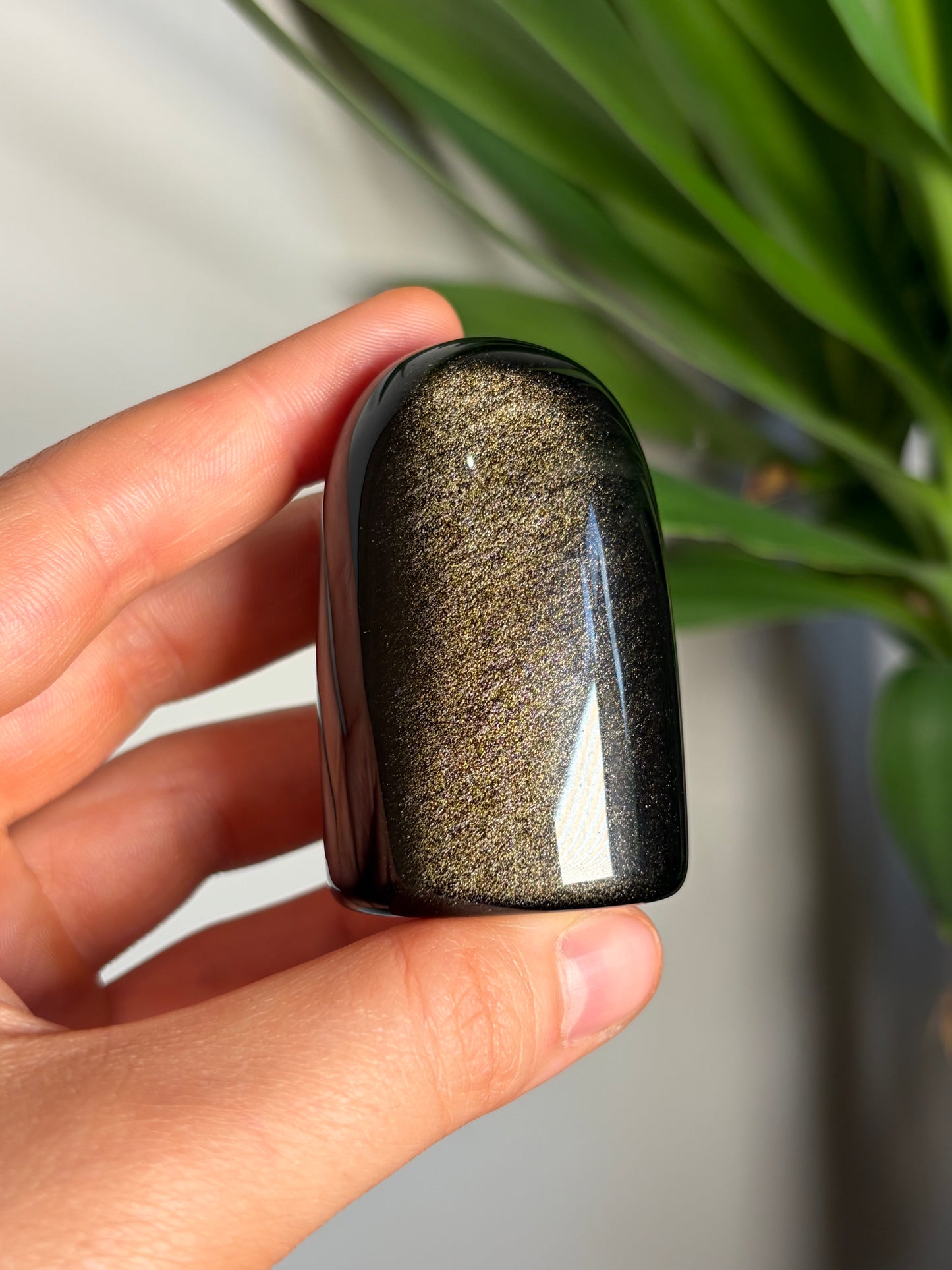 Golden Sheen Obsidian