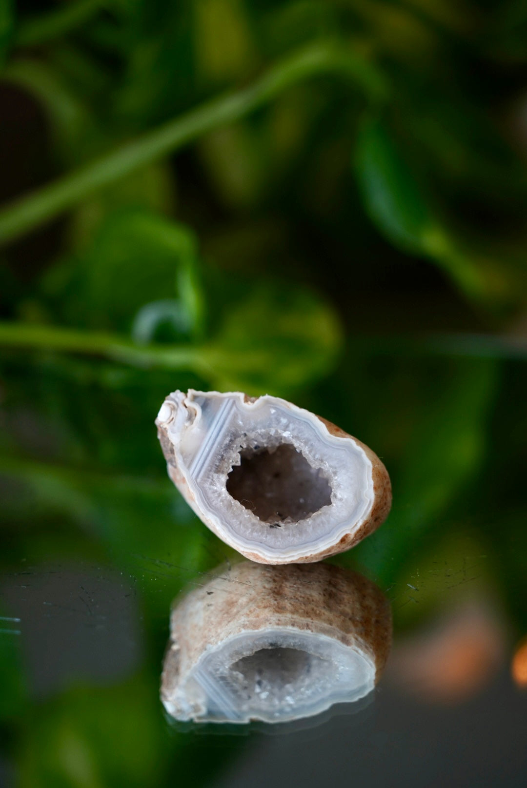 Mini Agate Geode