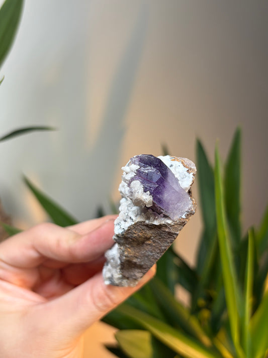 Amethyst in Matrix