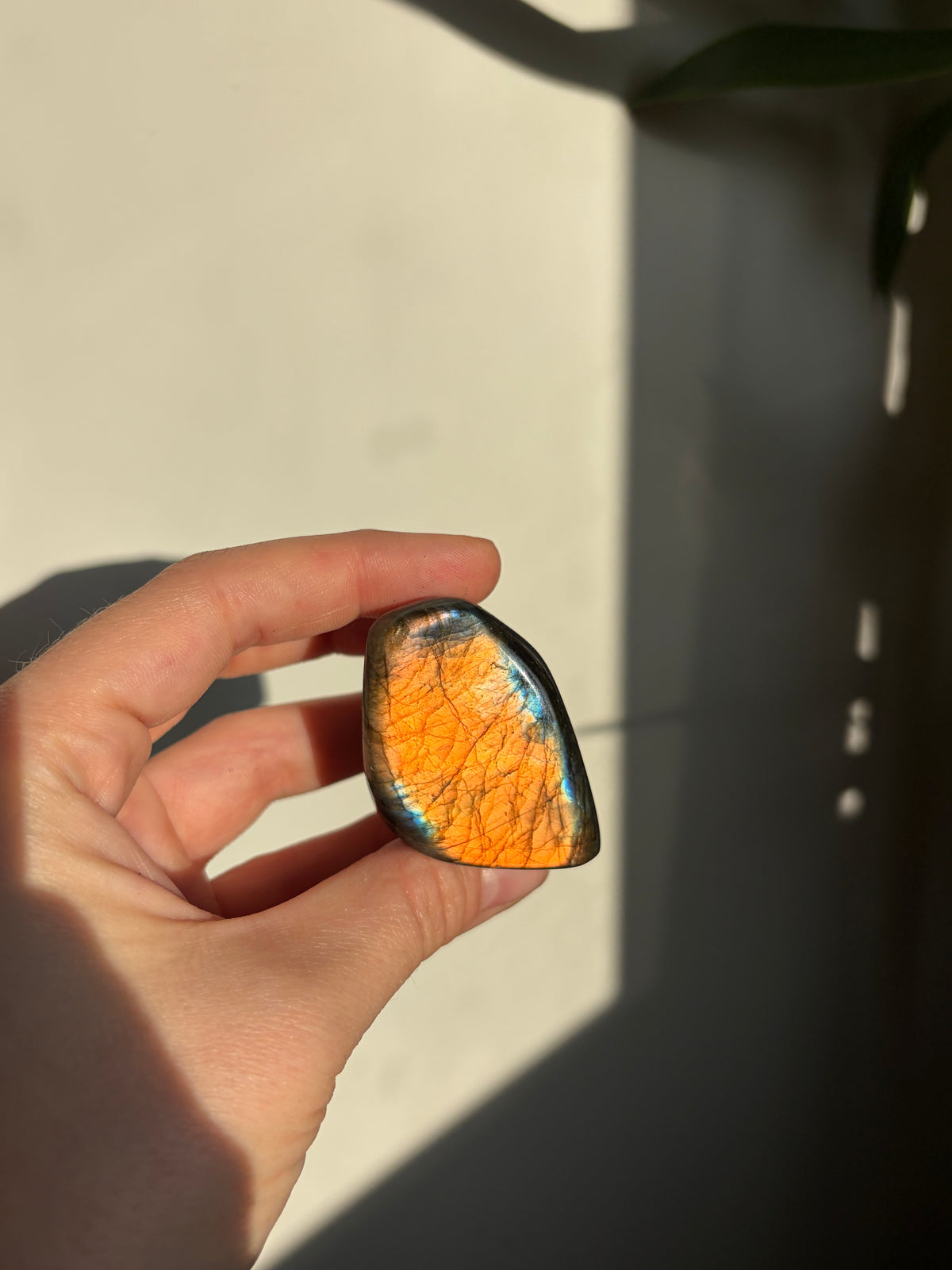 Labradorite Freeform