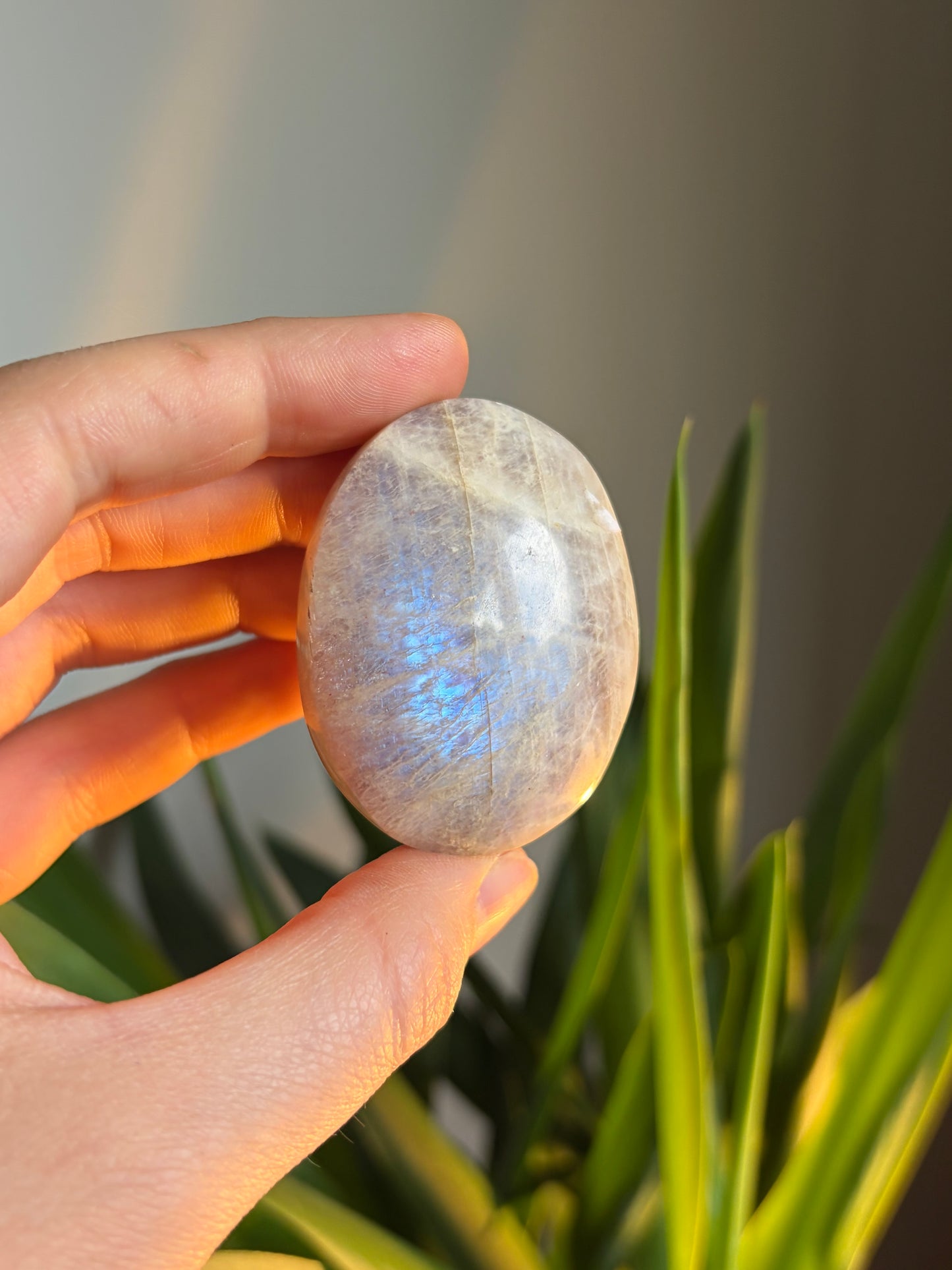 Moonstone Palmstone