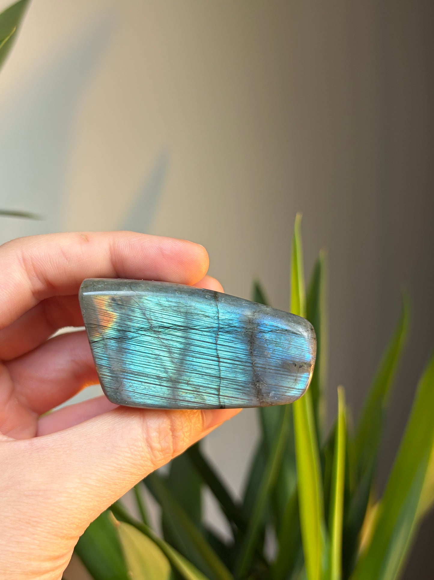 A Grade Labradorite Freeform