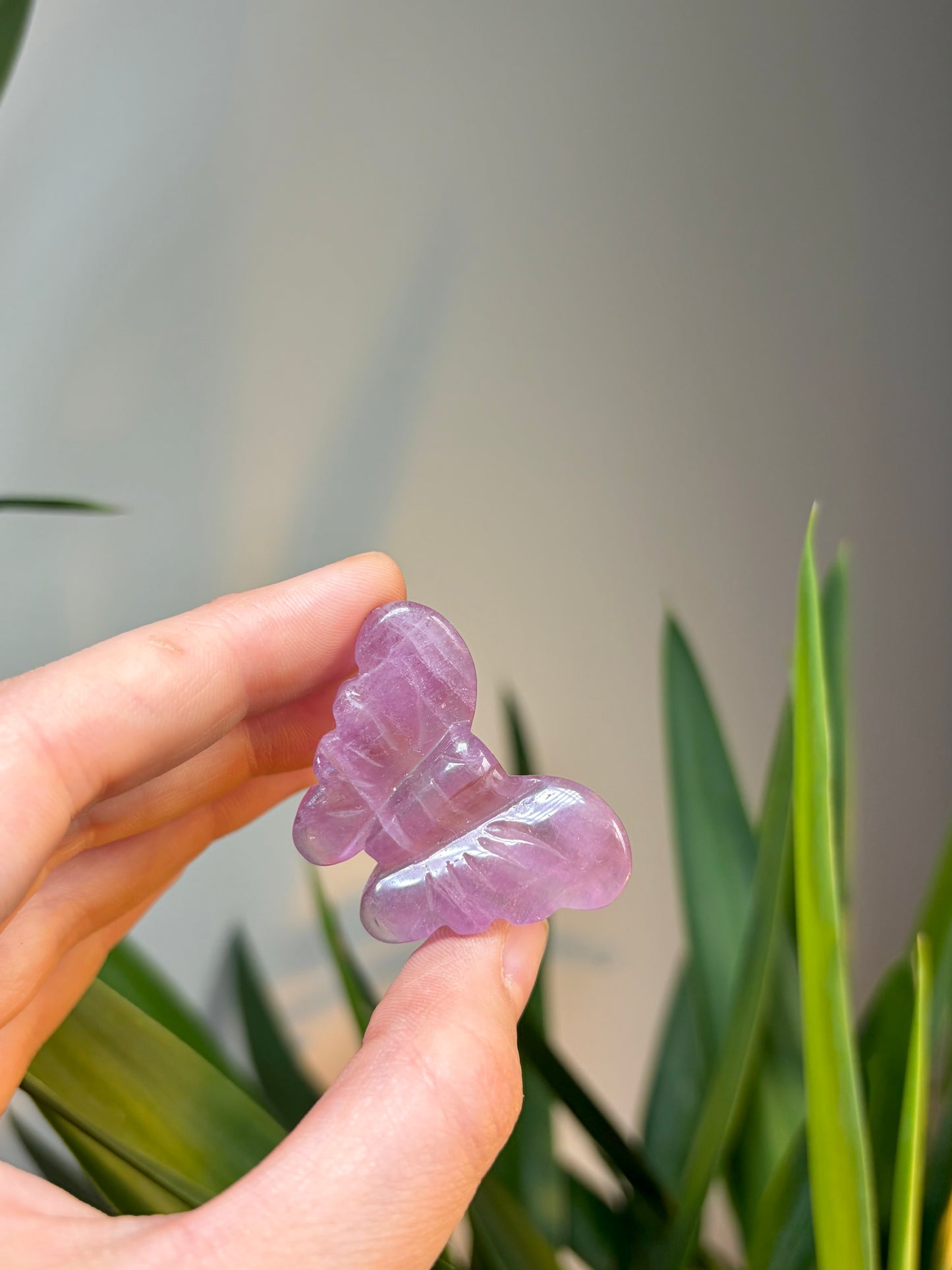 Purple Fluorite Butterfly Carving