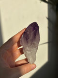 Amethyst Root