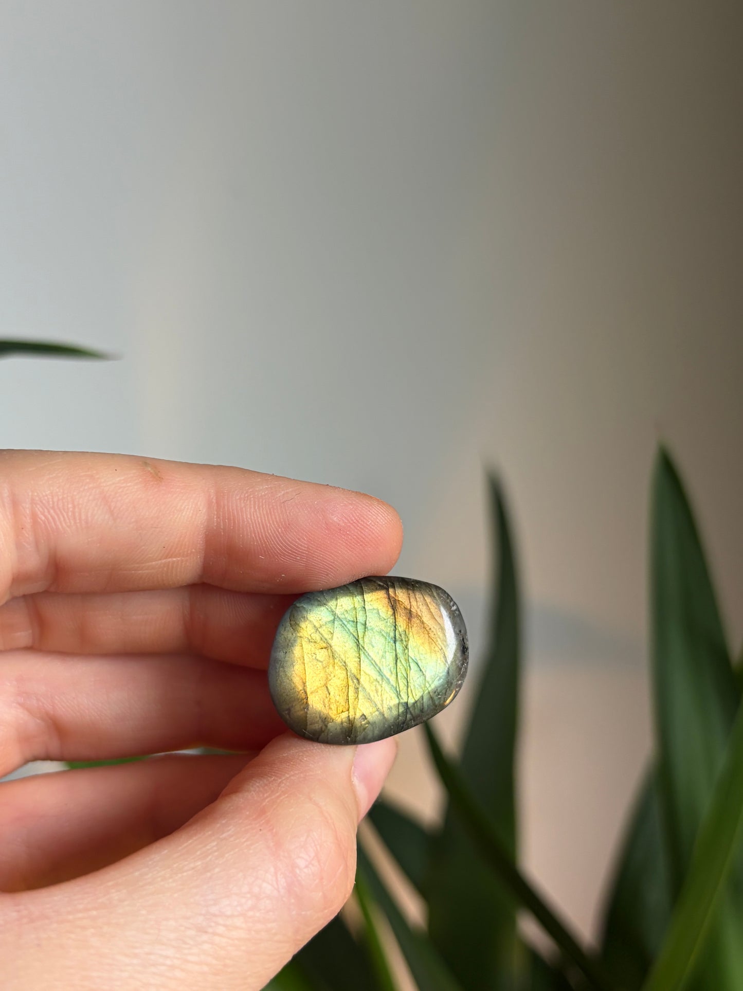Labradorite Galet