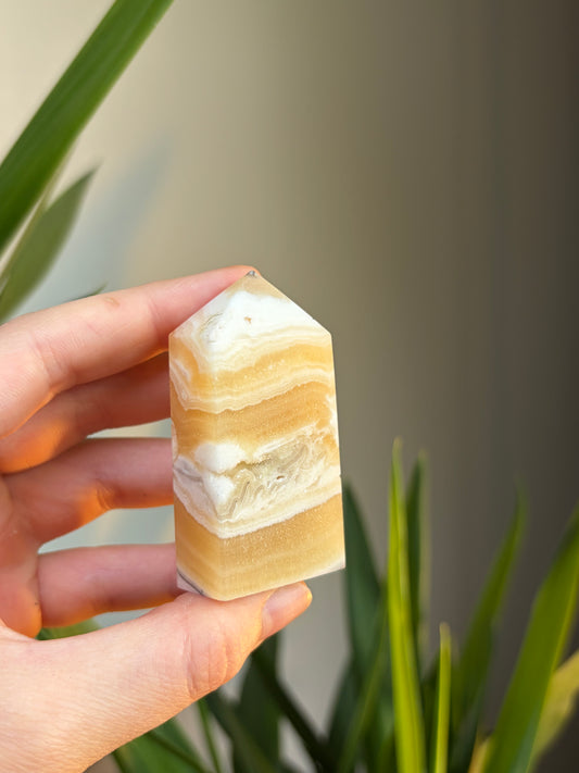 Zebra Calcite
