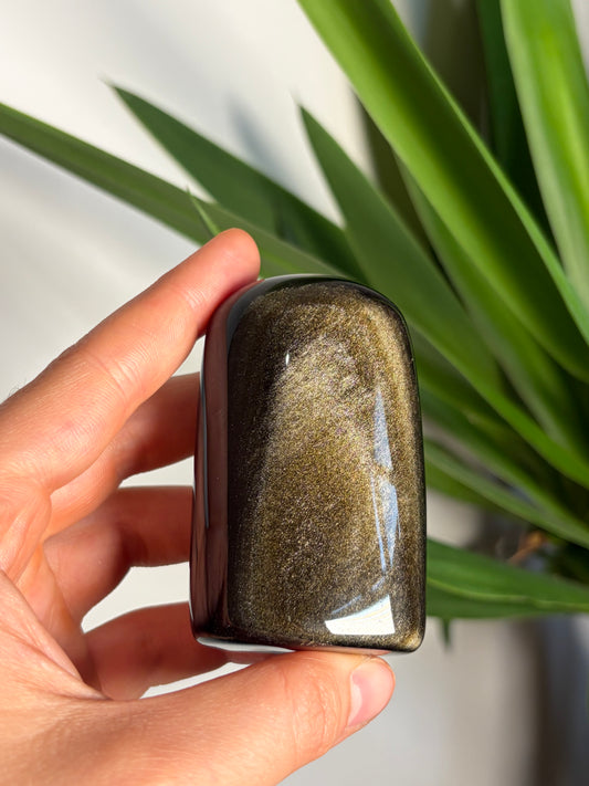 Golden Sheen Obsidian