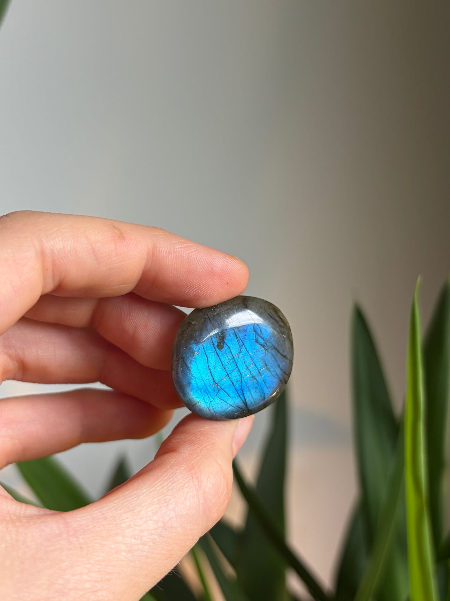 Labradorite Galet