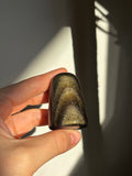 Golden Sheen Obsidian