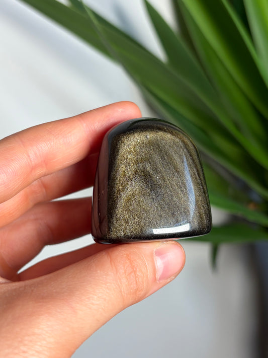 Golden Sheen Obsidian