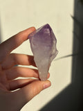 Amethyst Root