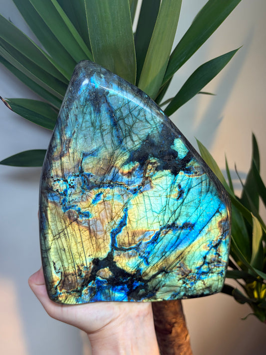3.7kg Labradorite Freeform