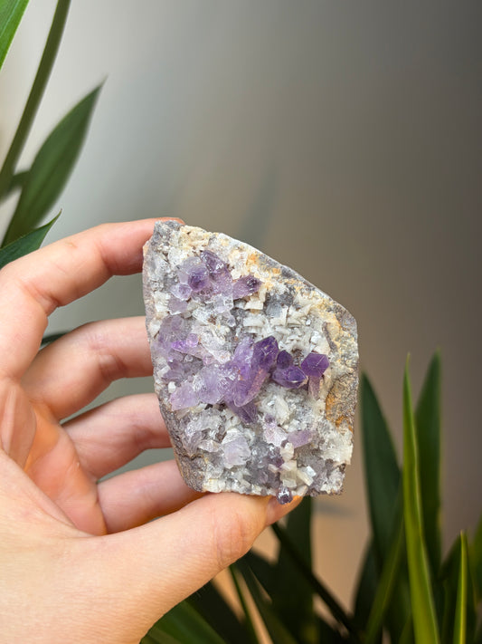 Amethyst in Matrix