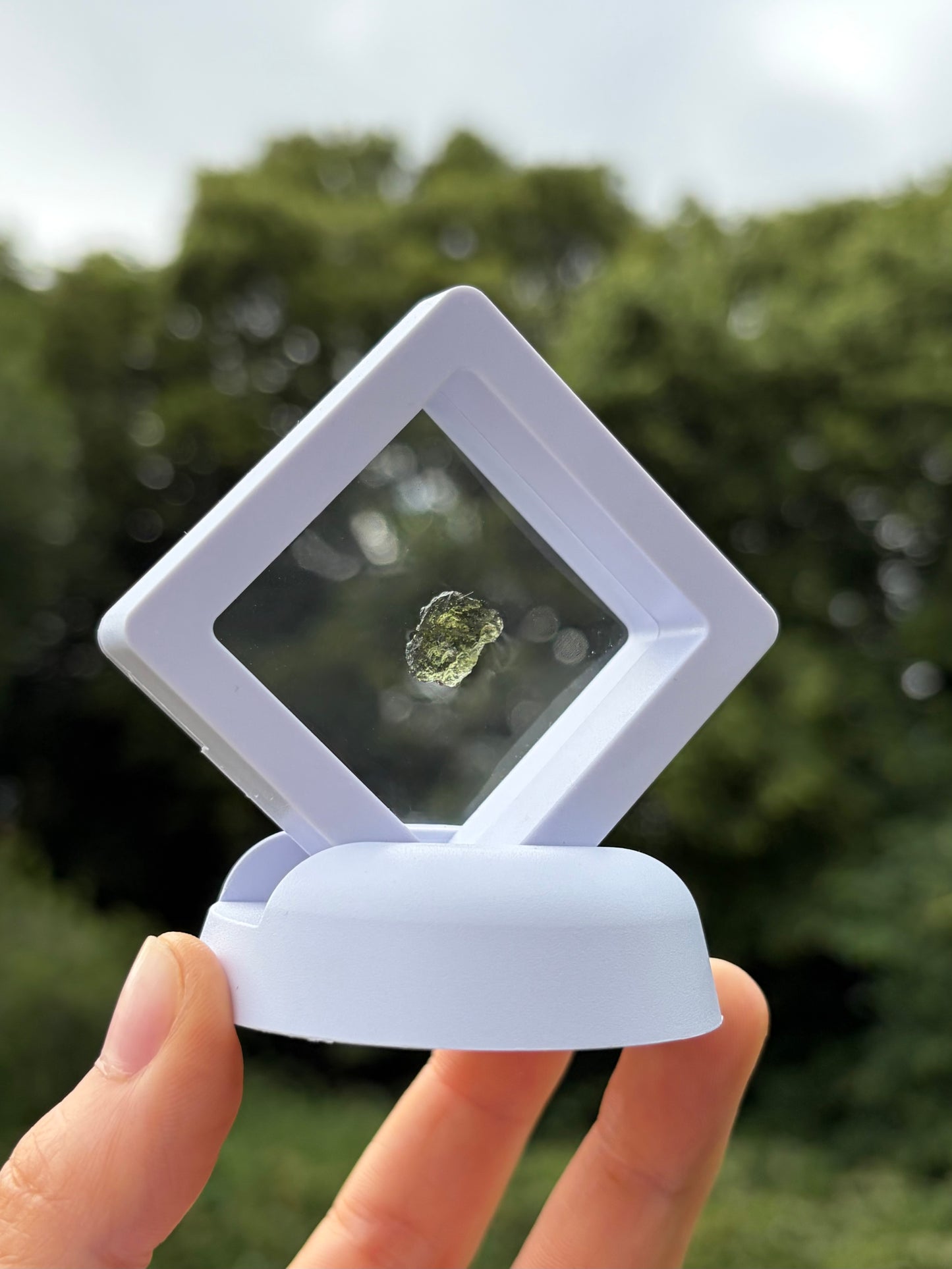 Moldavite In Floating Box