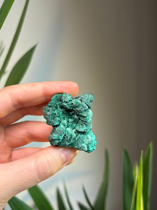 Fibrous Malachite Freeform