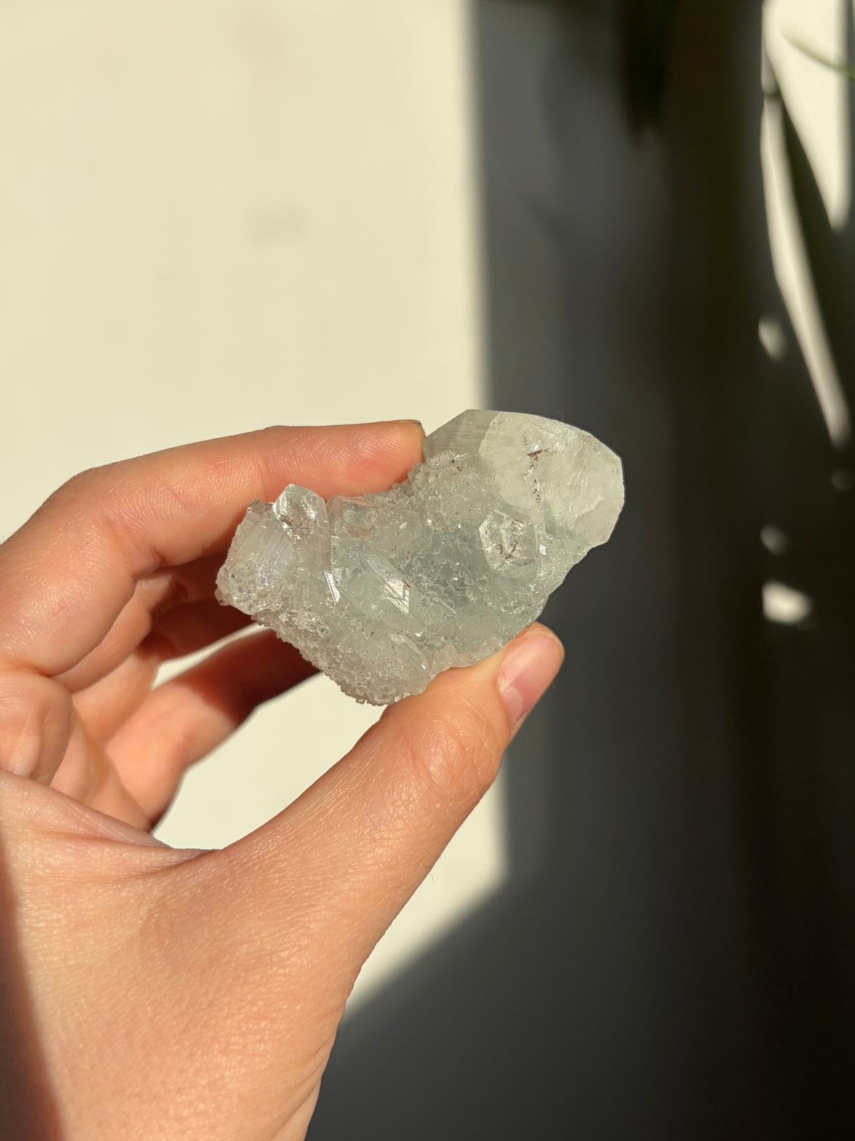 Apophyllite Cluster