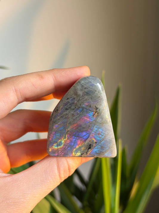 A Grade Labradorite Freeform