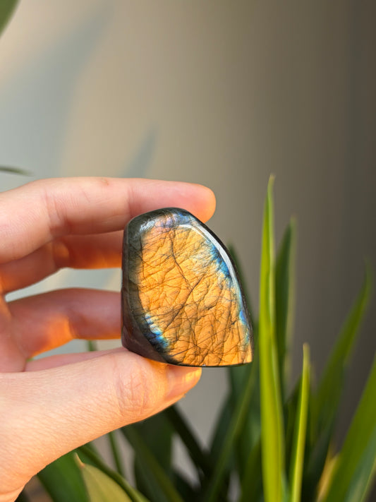 A Grade Labradorite Freeform