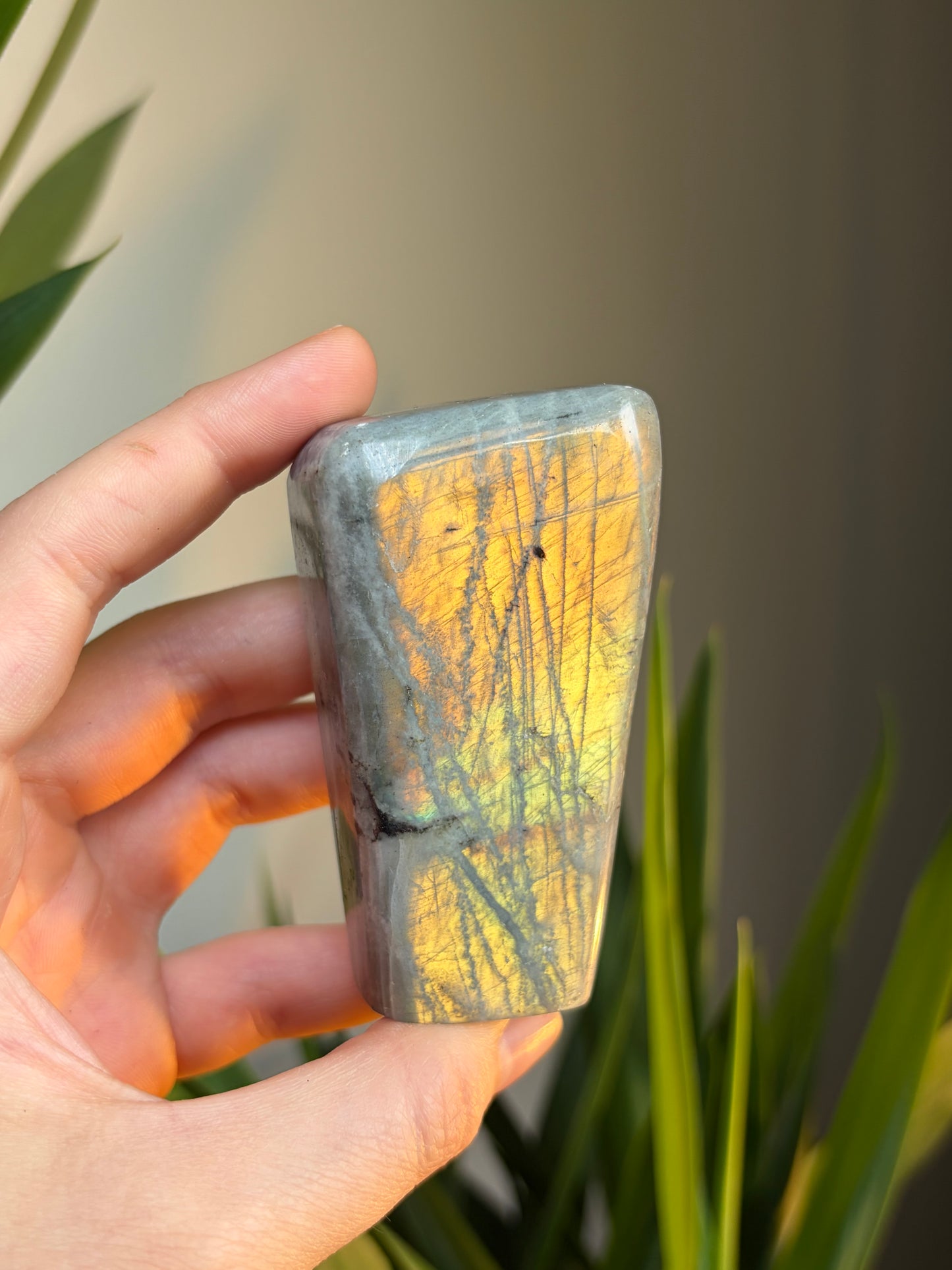 A Grade Labradorite Freeform