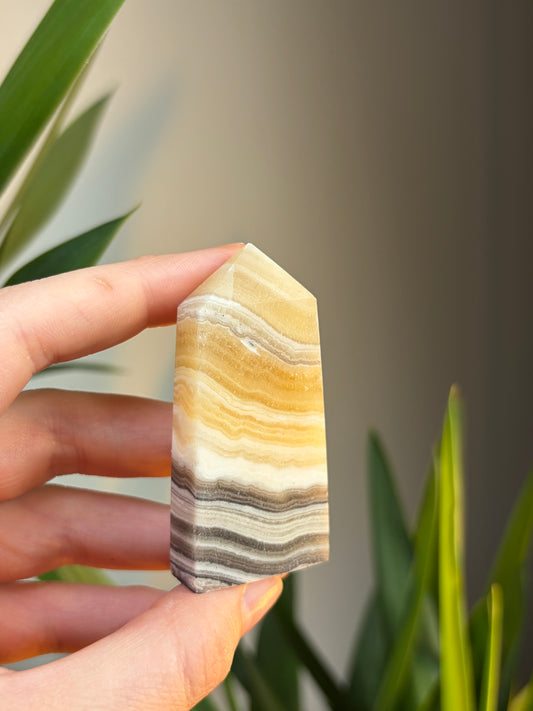 Zebra Calcite