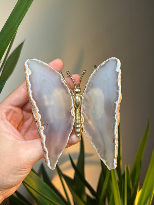 Agate Butterfly