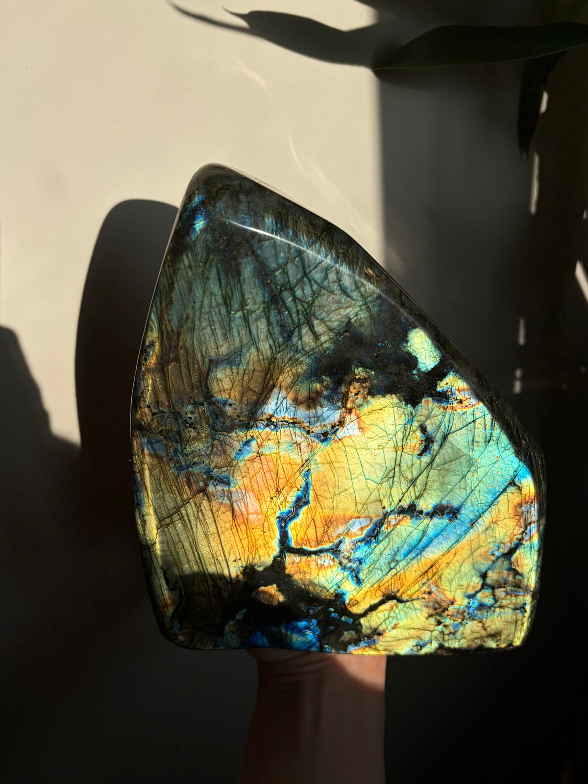 3.7kg Labradorite Polished Freeform