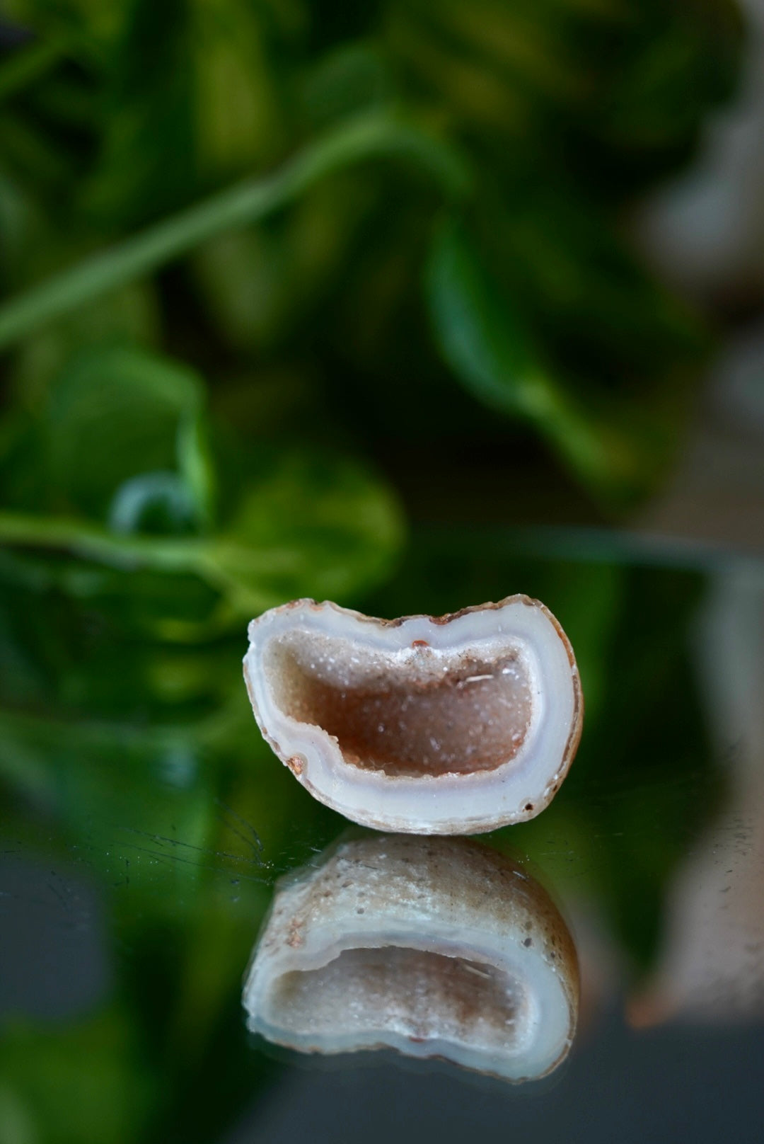 Mini Agate Geode