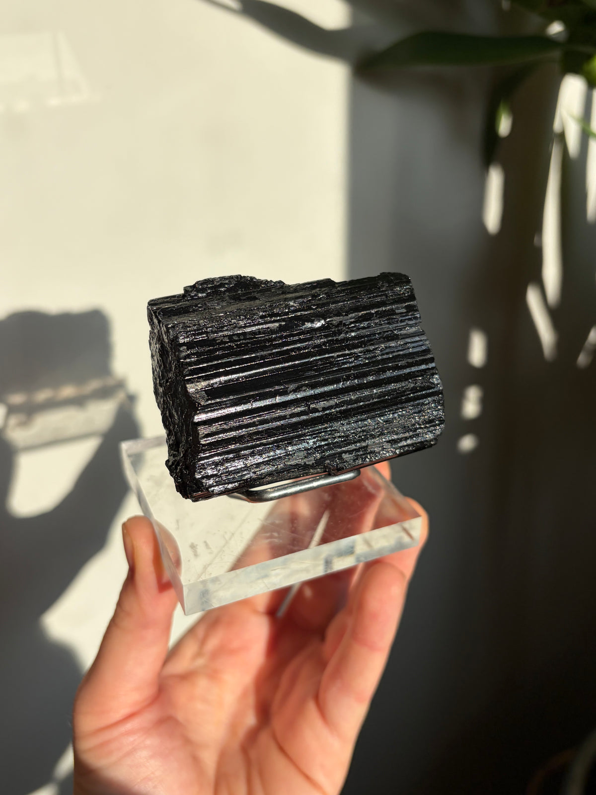 Black Tourmaline Raw with stand