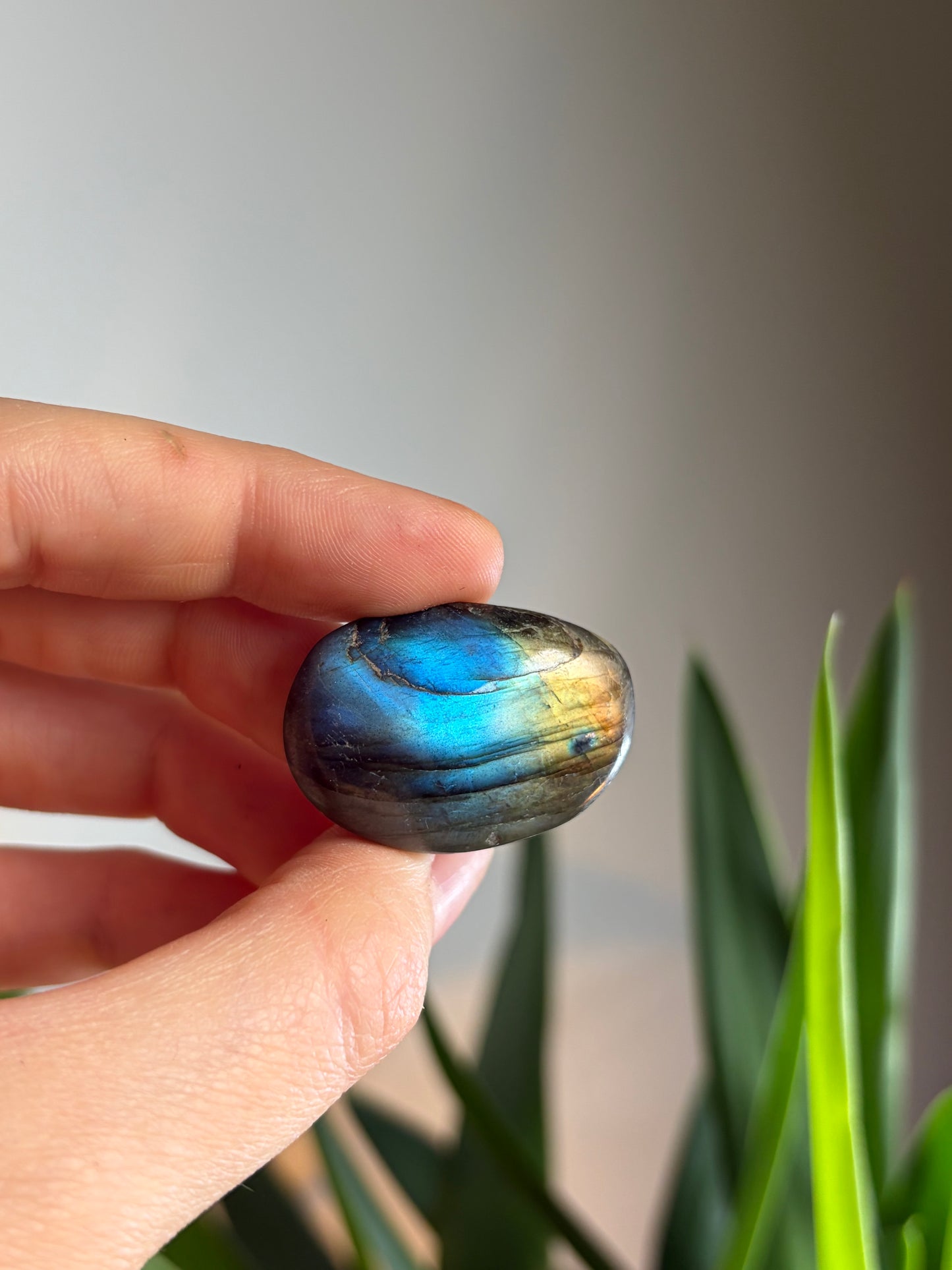 Labradorite Galet
