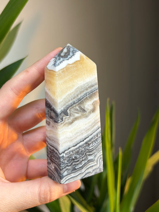 Zebra Calcite