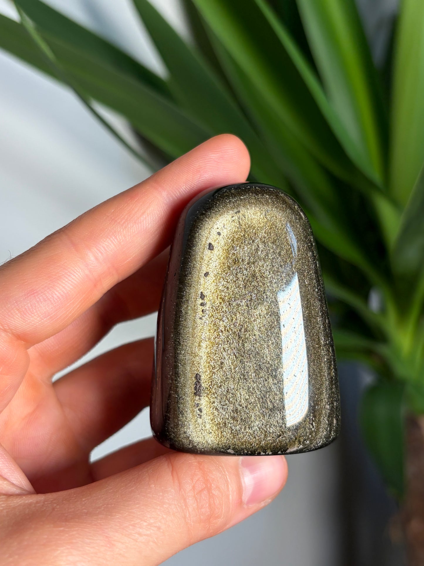 Golden Sheen Obsidian
