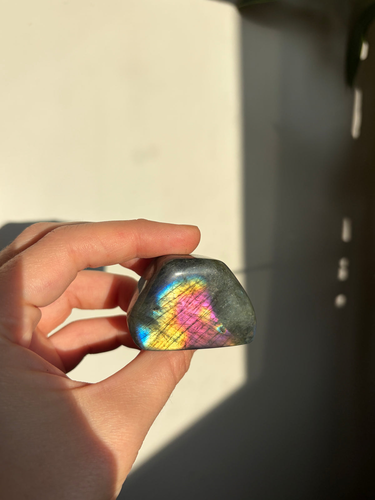 Labradorite Freeform