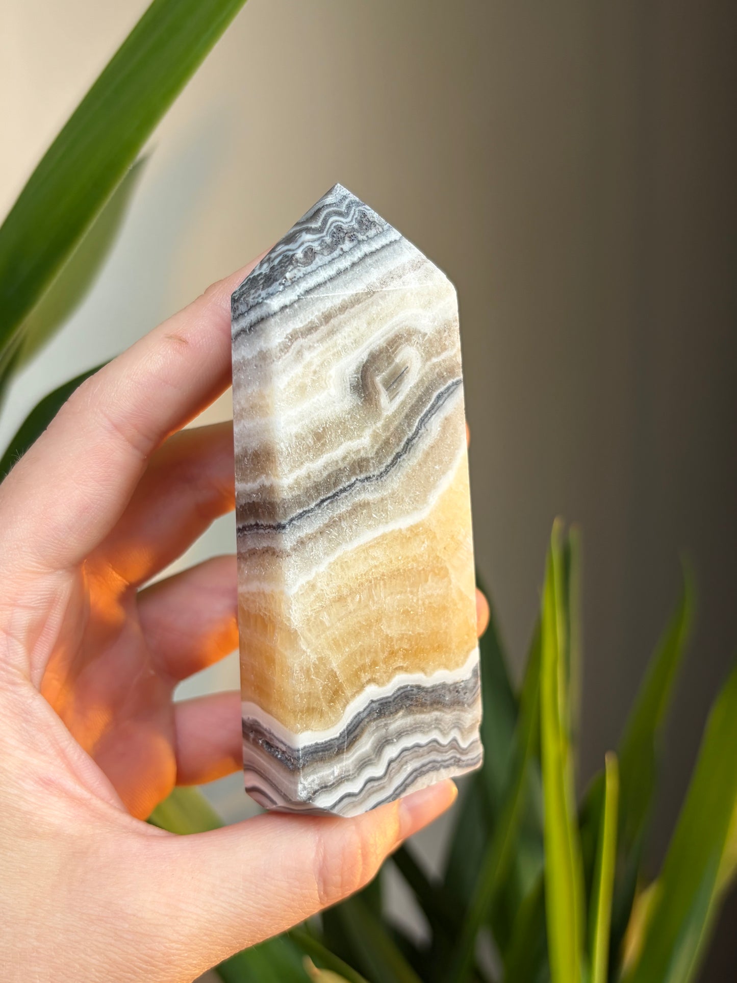 Zebra Calcite